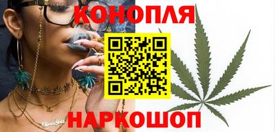 mdpv Заводоуковск