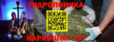 Альфа ПВП Заволжье