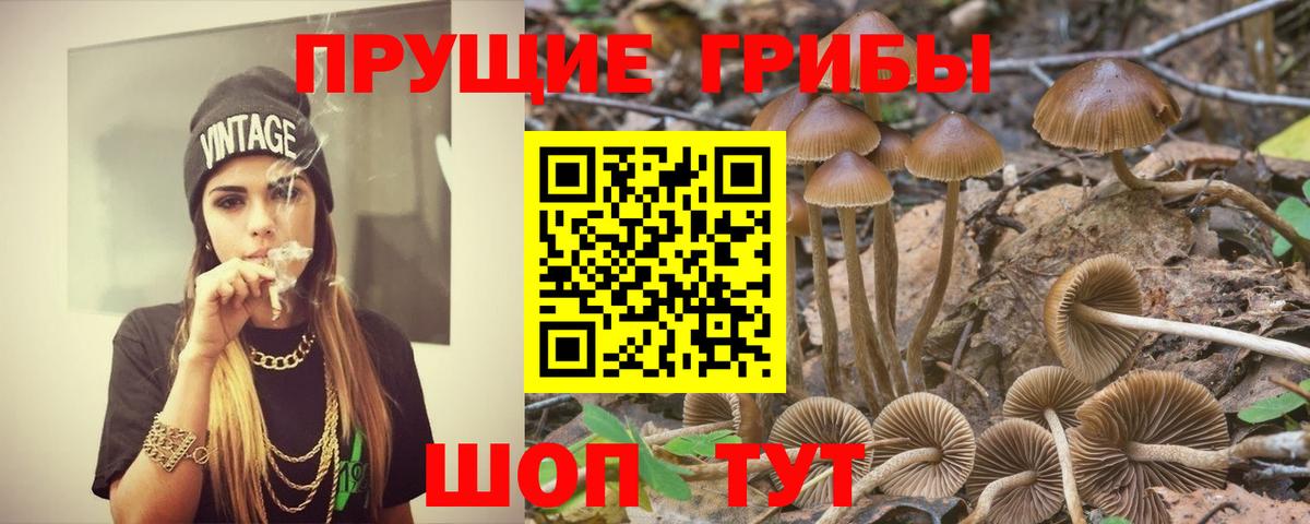 МАРИХУАНА  Нижний Тагил  МЕФ   Вход с VPN 