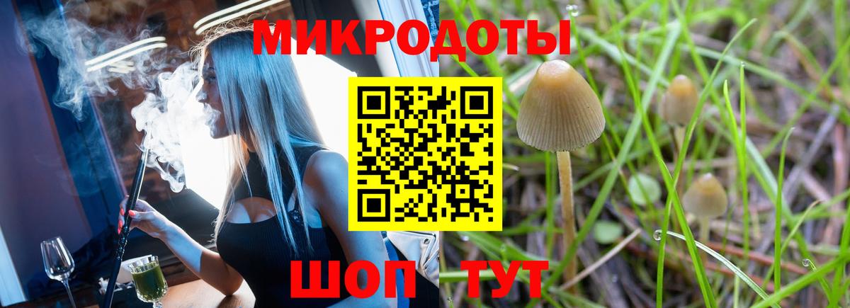 Галлюциногенные грибы мицелий Нижний Тагил