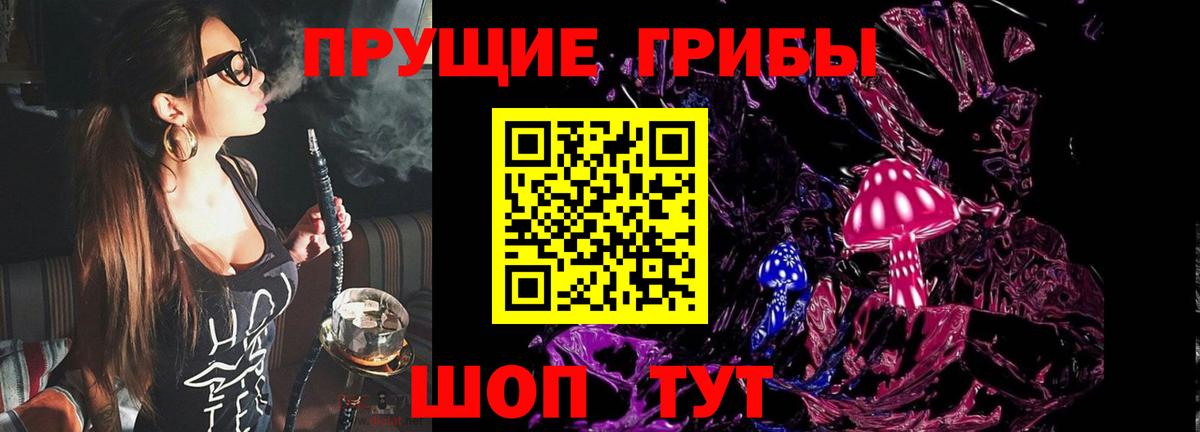Нижний Тагил  Псилоцибиновые грибы Psilocybe  где можно купить   Вход с VPN  Галлюциногенные грибы GOLDEN TEACHER 