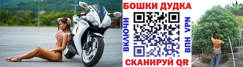 где продают   Нижний Тагил  Бошки Шишки Amnesia 